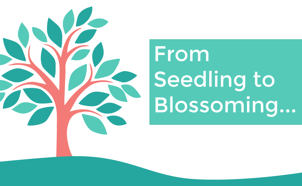 From Seedling to Blossoming &#8211; Sams Story